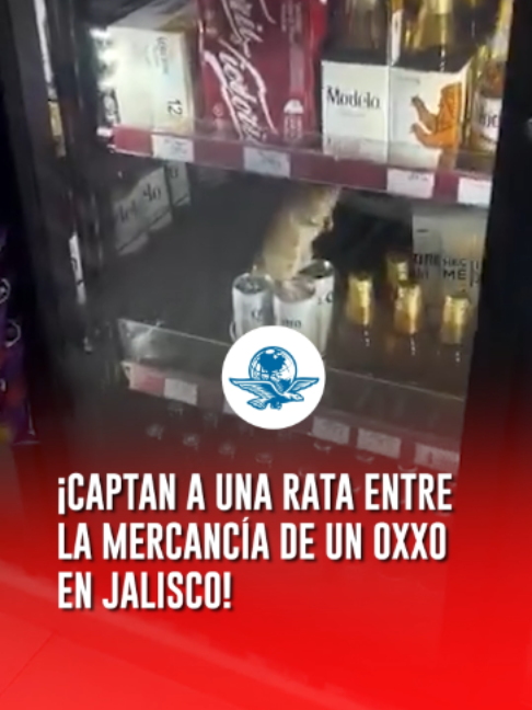 @El Universal