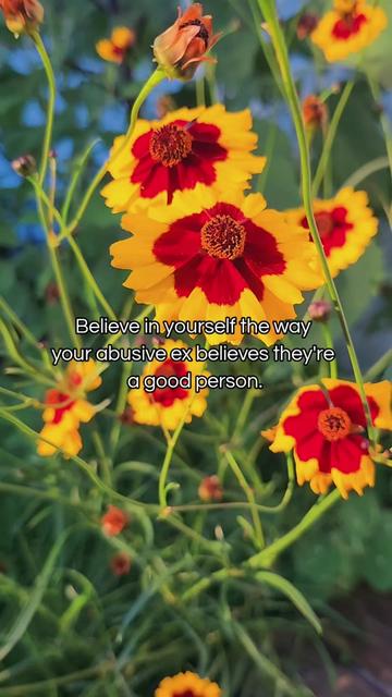 @ᴏꜰ ᴛʜᴇ ɴᴏʀᴛʜ 🌻✨️
