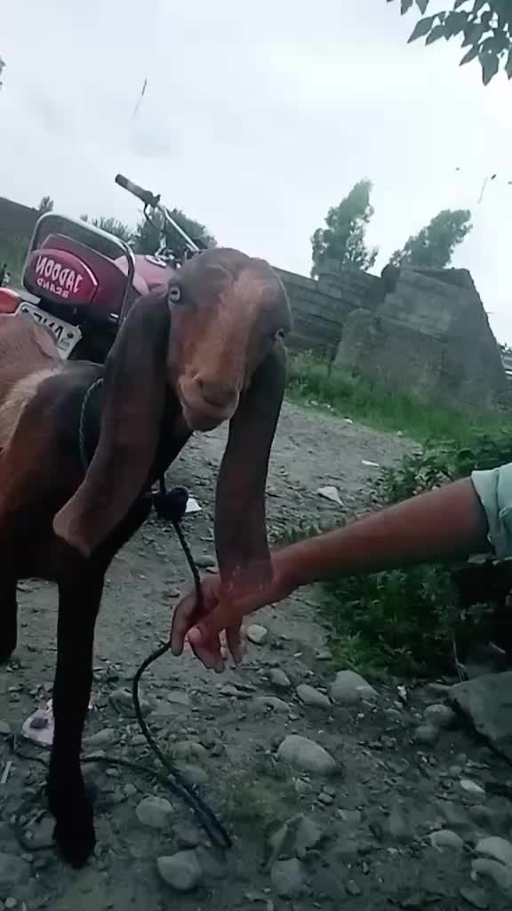 @Ali Khan