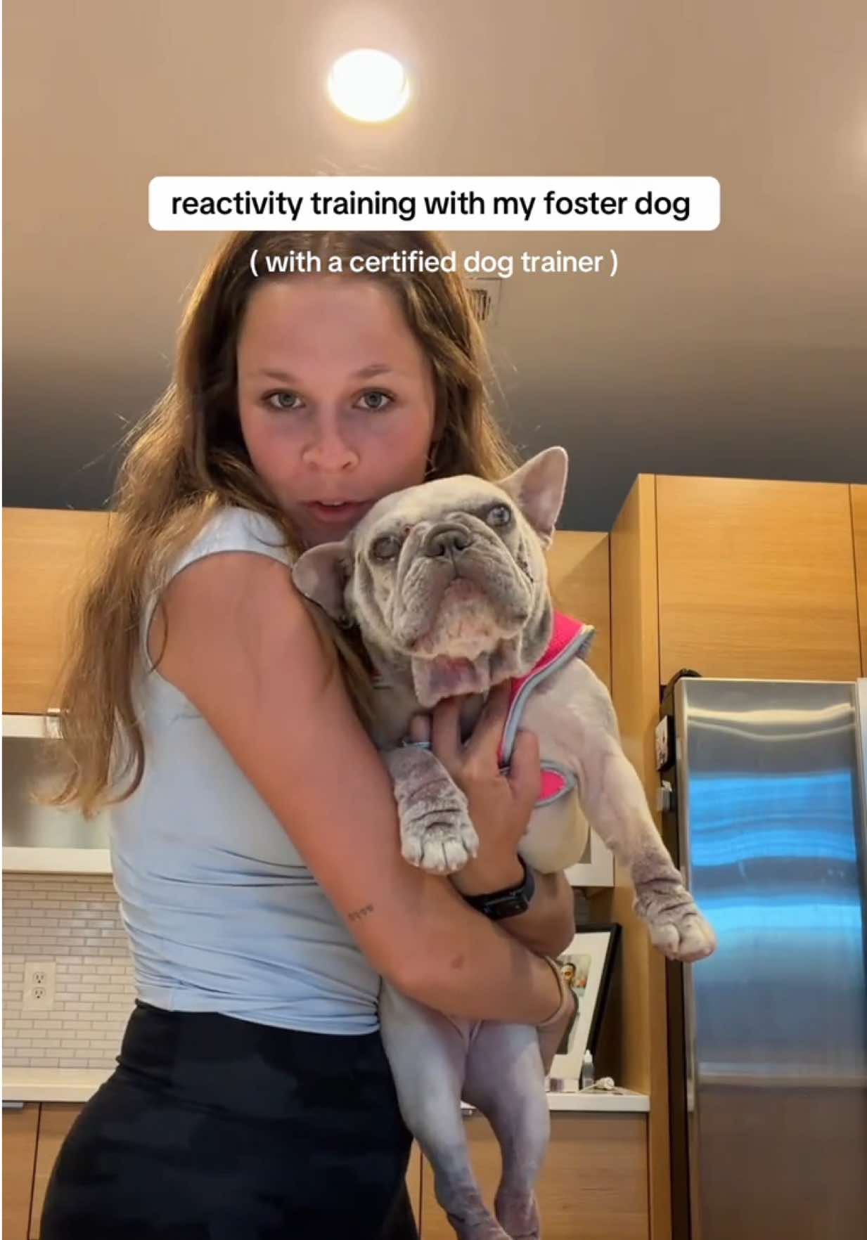 @Abby KPA-CTP | Dog Trainer
