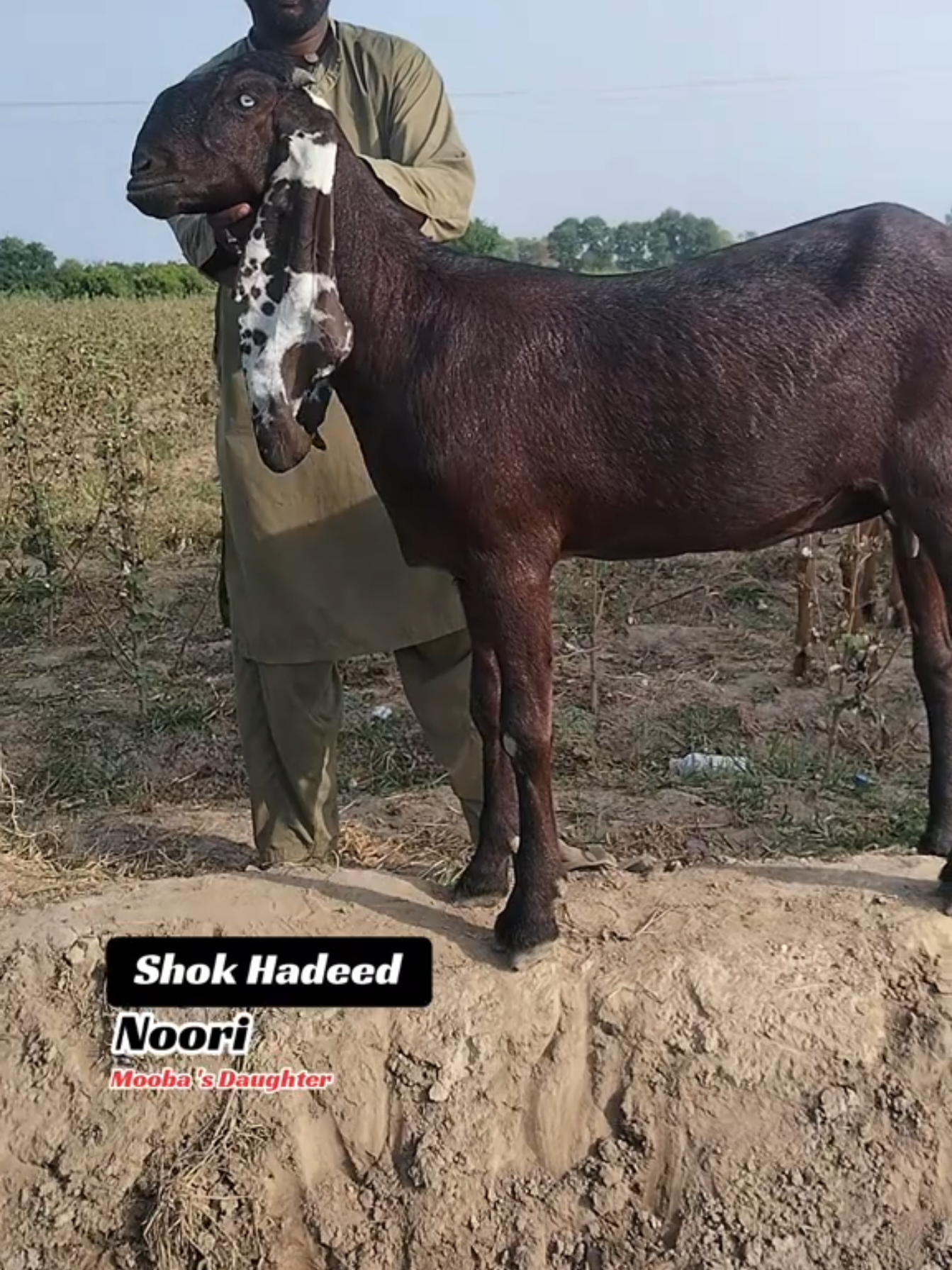 @𝕄.𝔾.𝔽