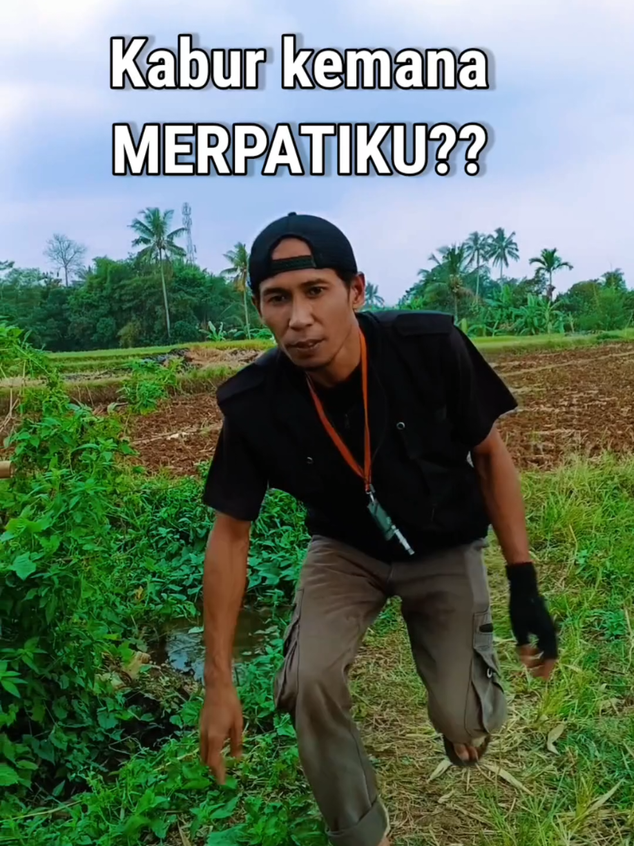 @BANG LEYON