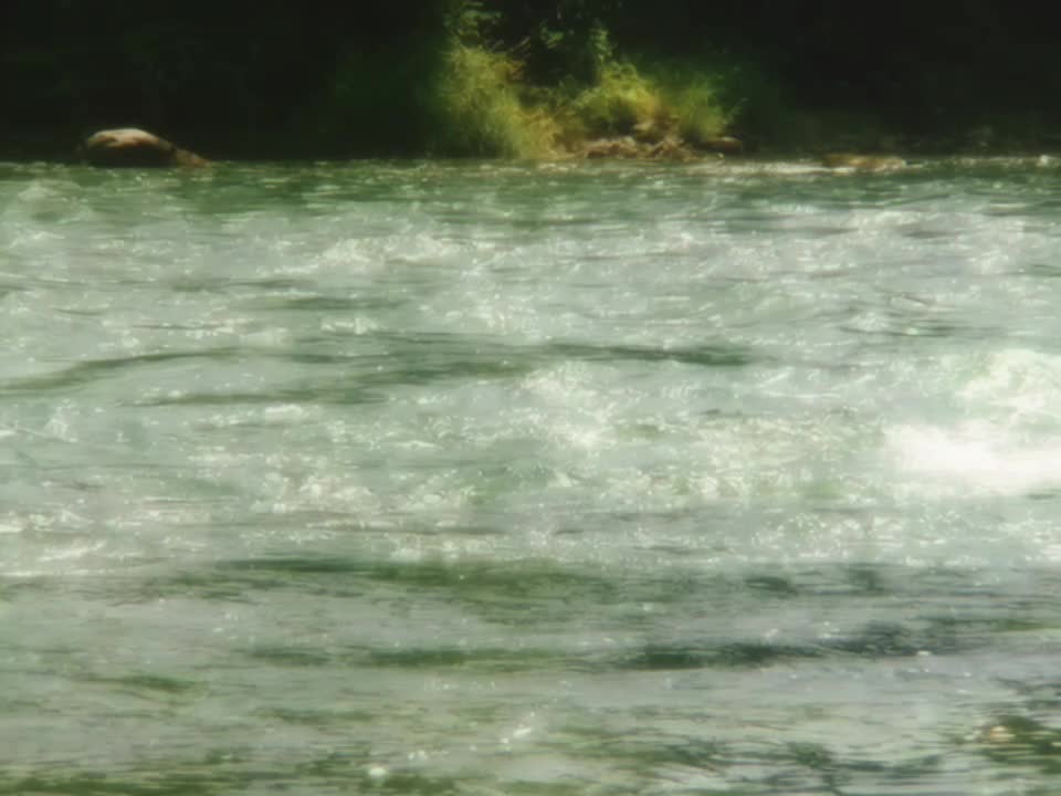@𝘿𝙄𝙂𝙄𝙏𝘼𝙇𝙄𝙎
