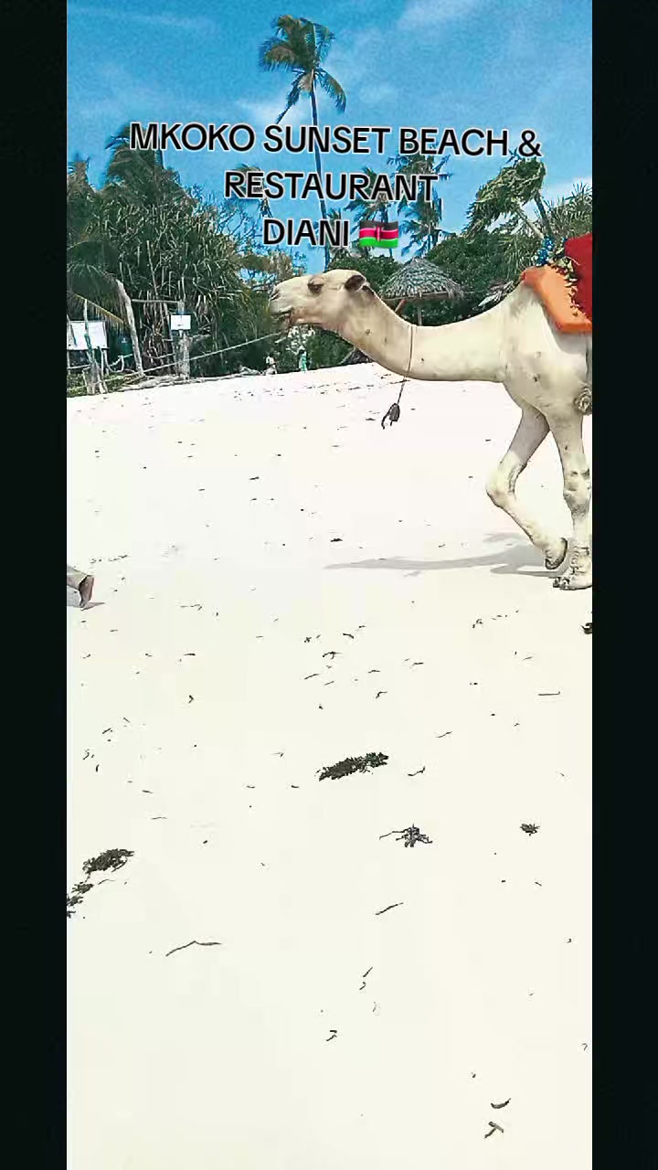 @BLÃCKMÂDE