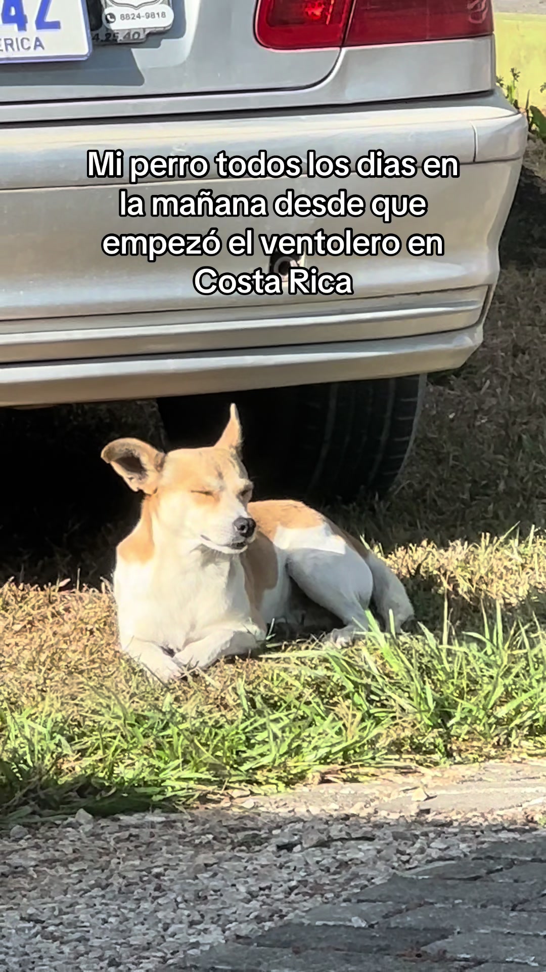 @Paniagua