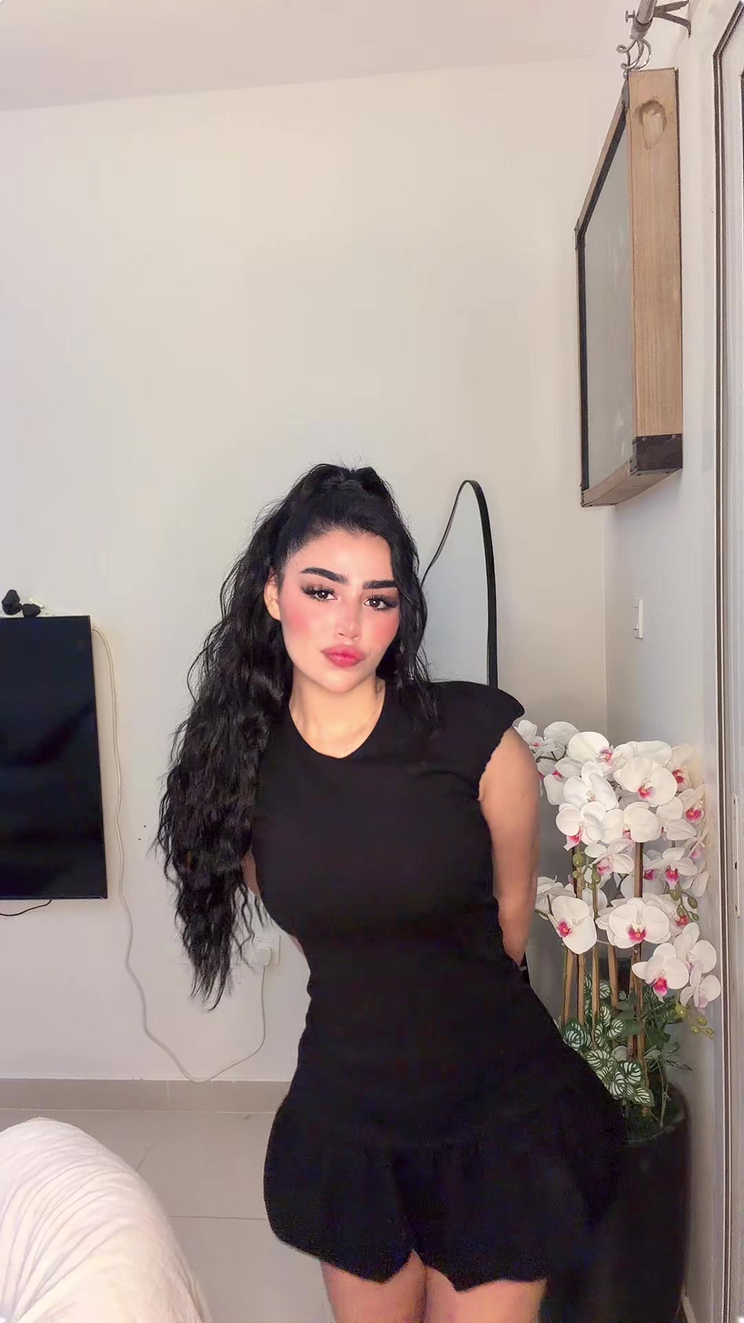 @elisa.shayeste