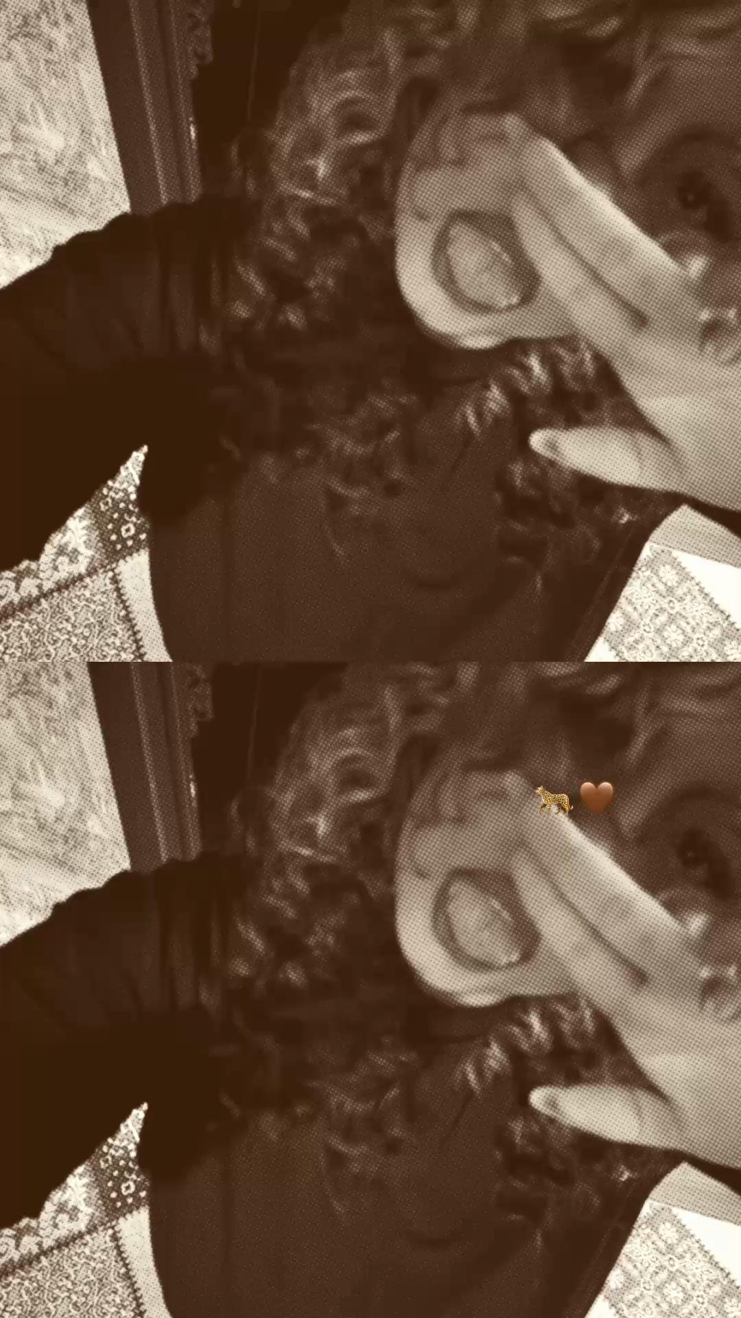 @⋆.n ྀིྀ⋆.