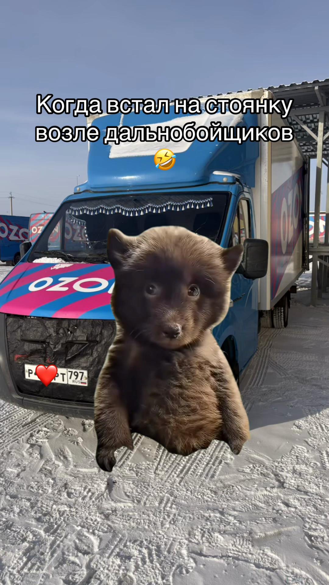 @Тгк:_gazlik_