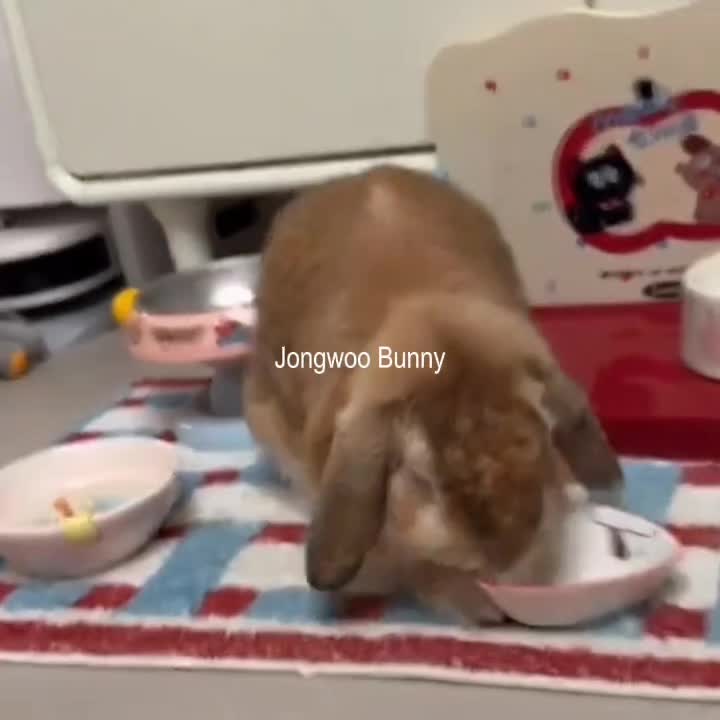 @Bri ˙꒳ˆ