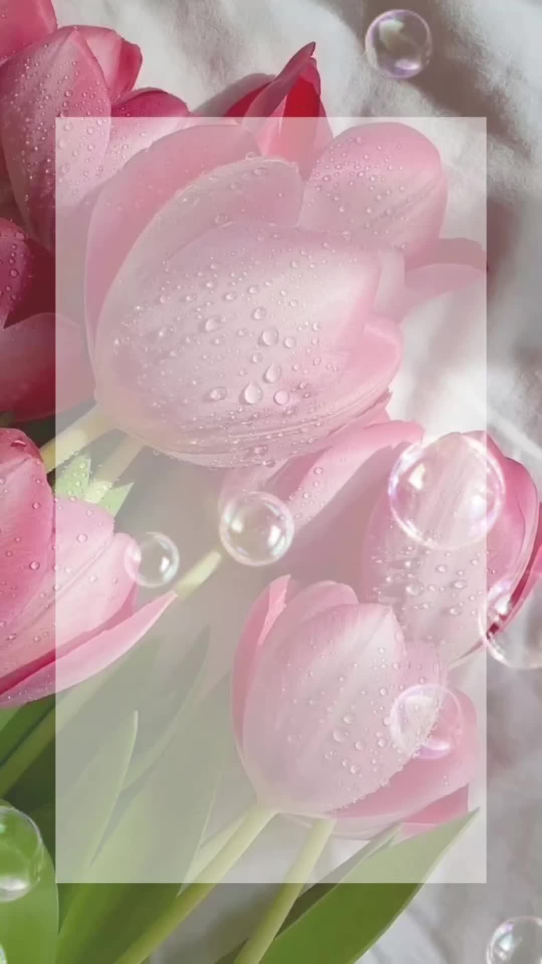 @tiy_891