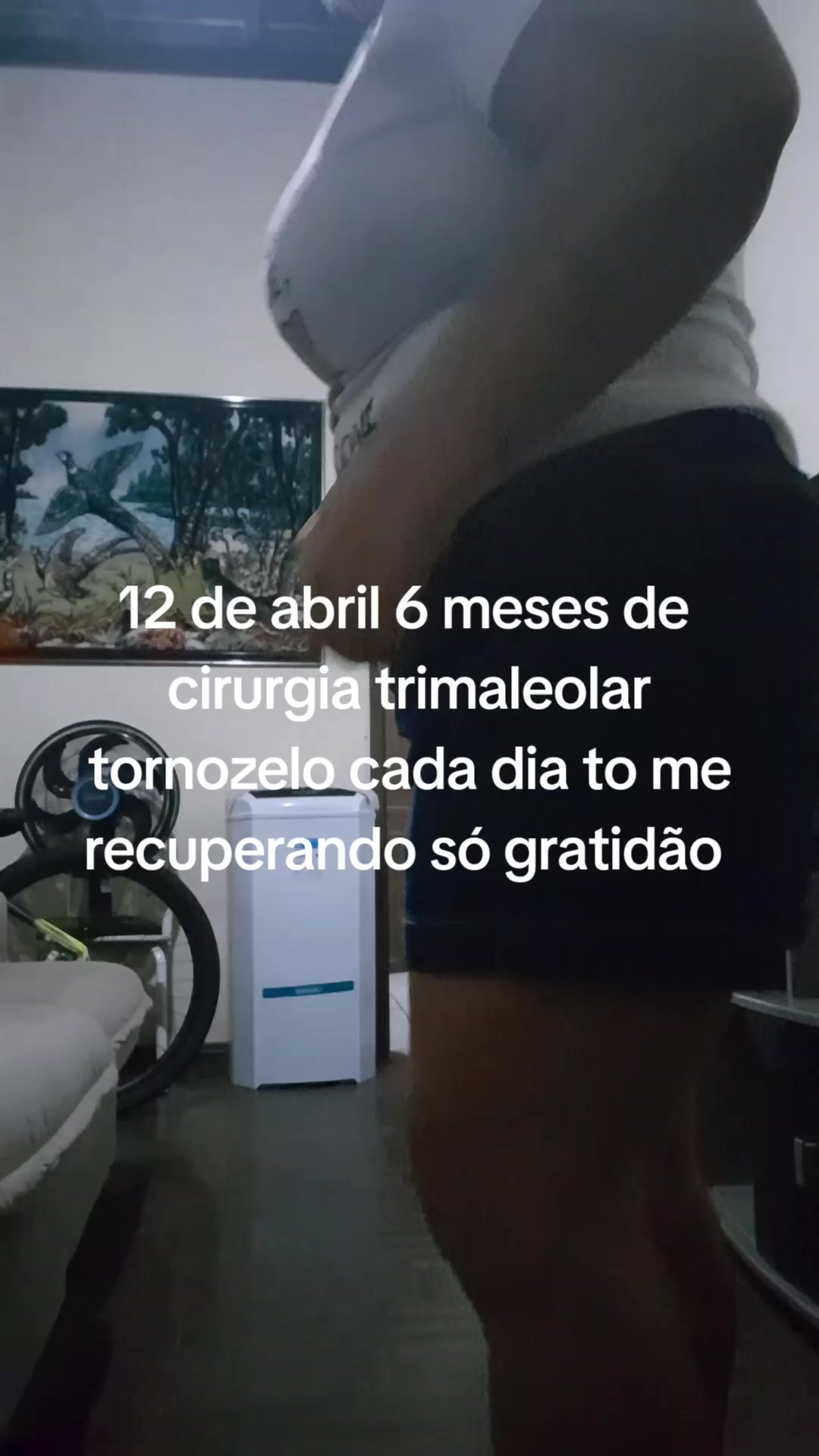 @lu Rodrigues