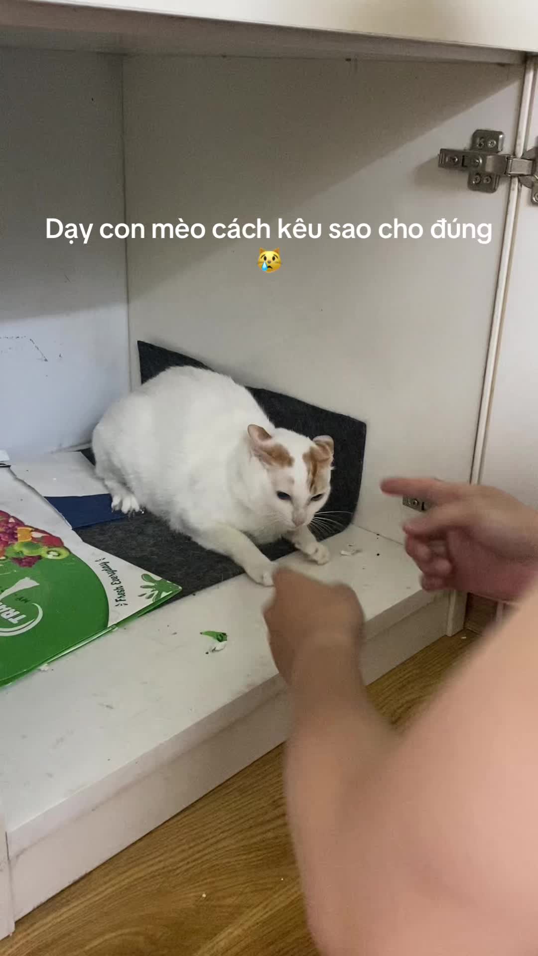 @sendituyen