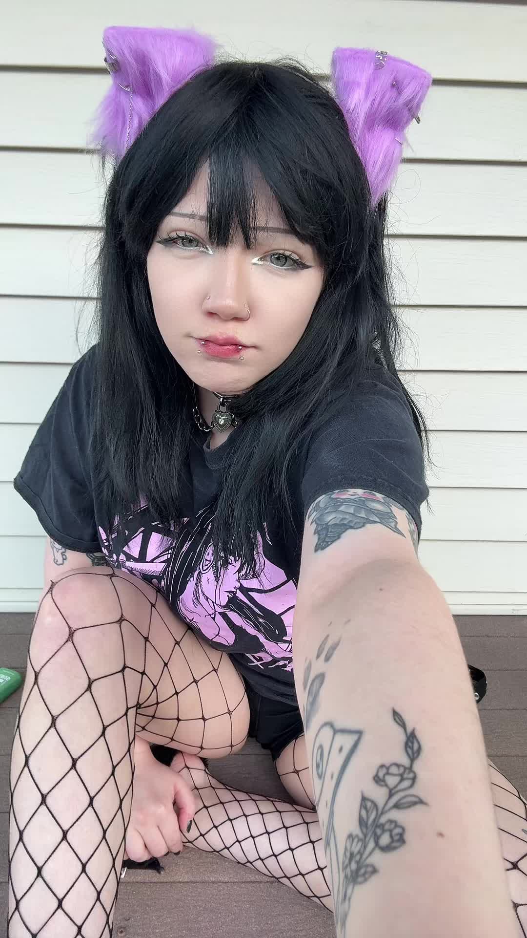 @kitty