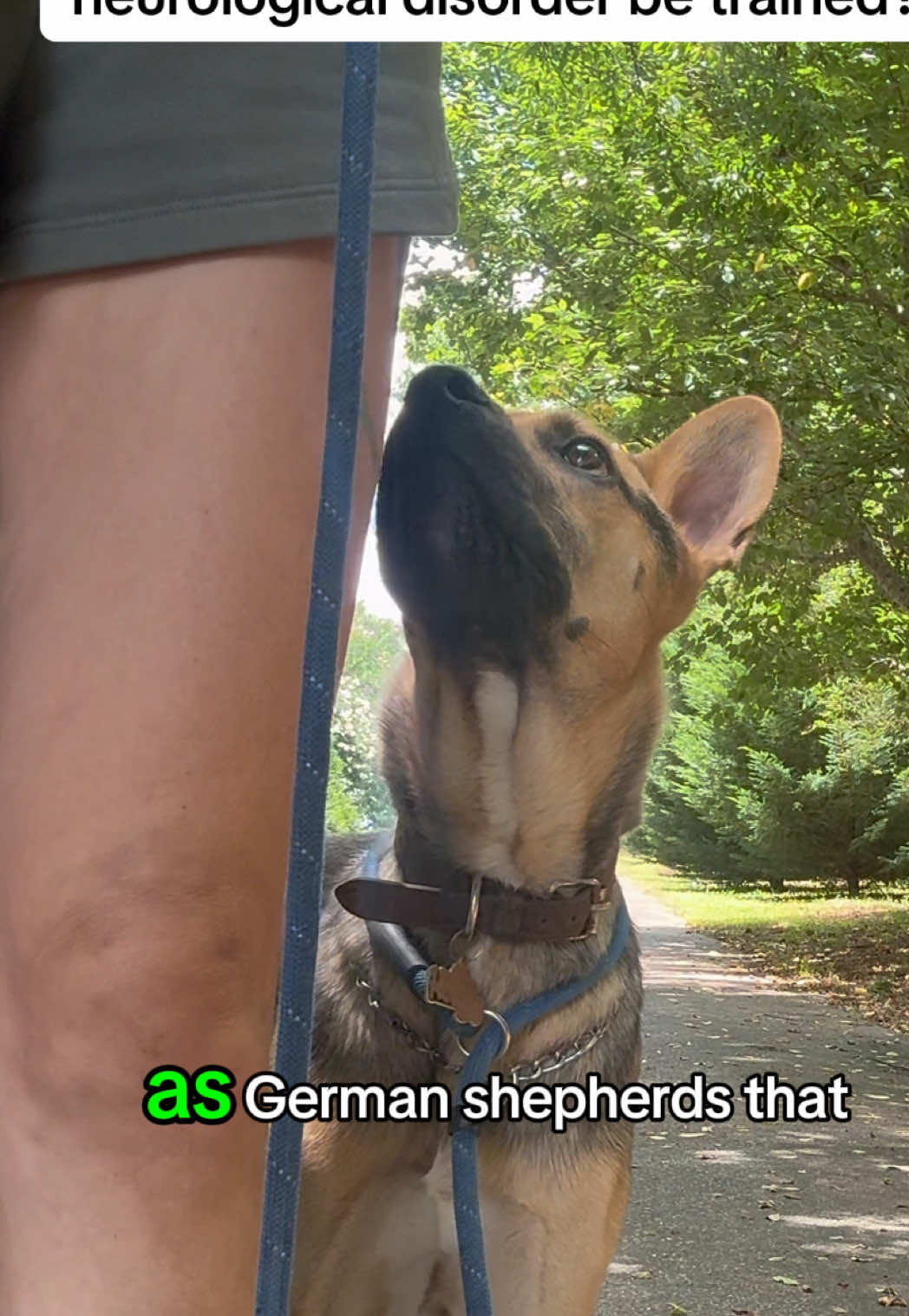 @True Guard K9 I Tara