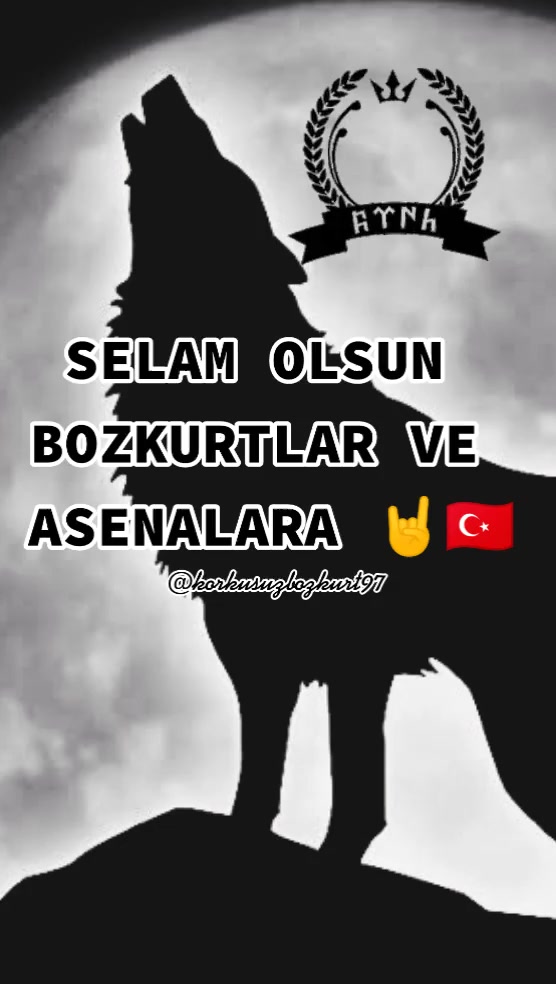 @🇹🇷KORKUSUZ BOZKURT🇹🇷