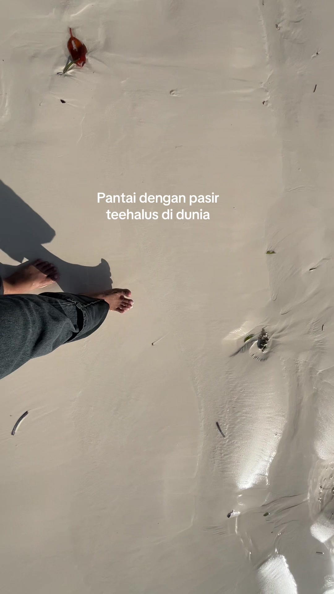 @Cottanish
