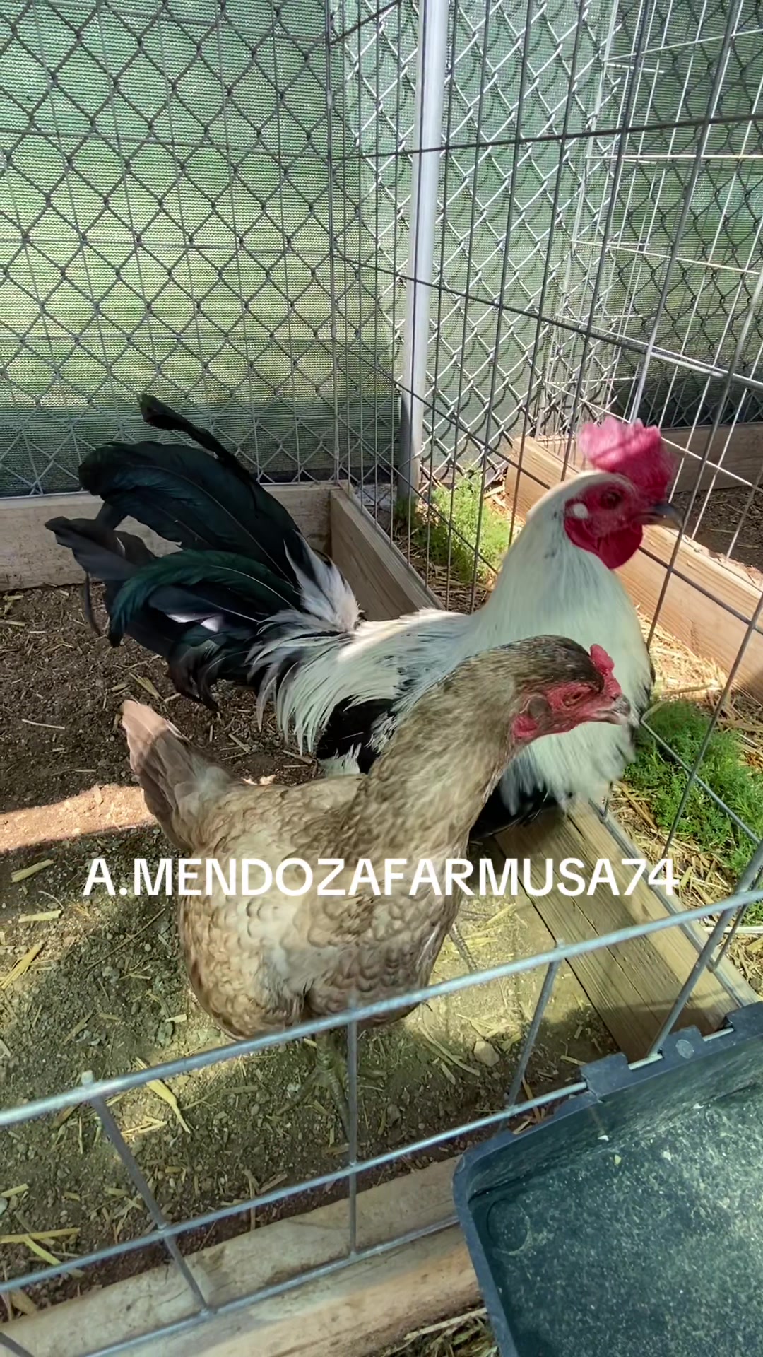 @A.MENDOZA.FARM.USA 74HWY