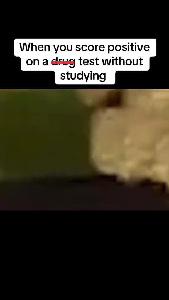 @Back seat bitch