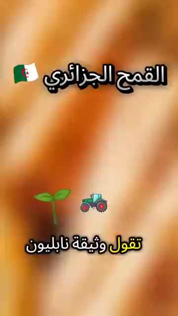 @Hayetam Hayetam