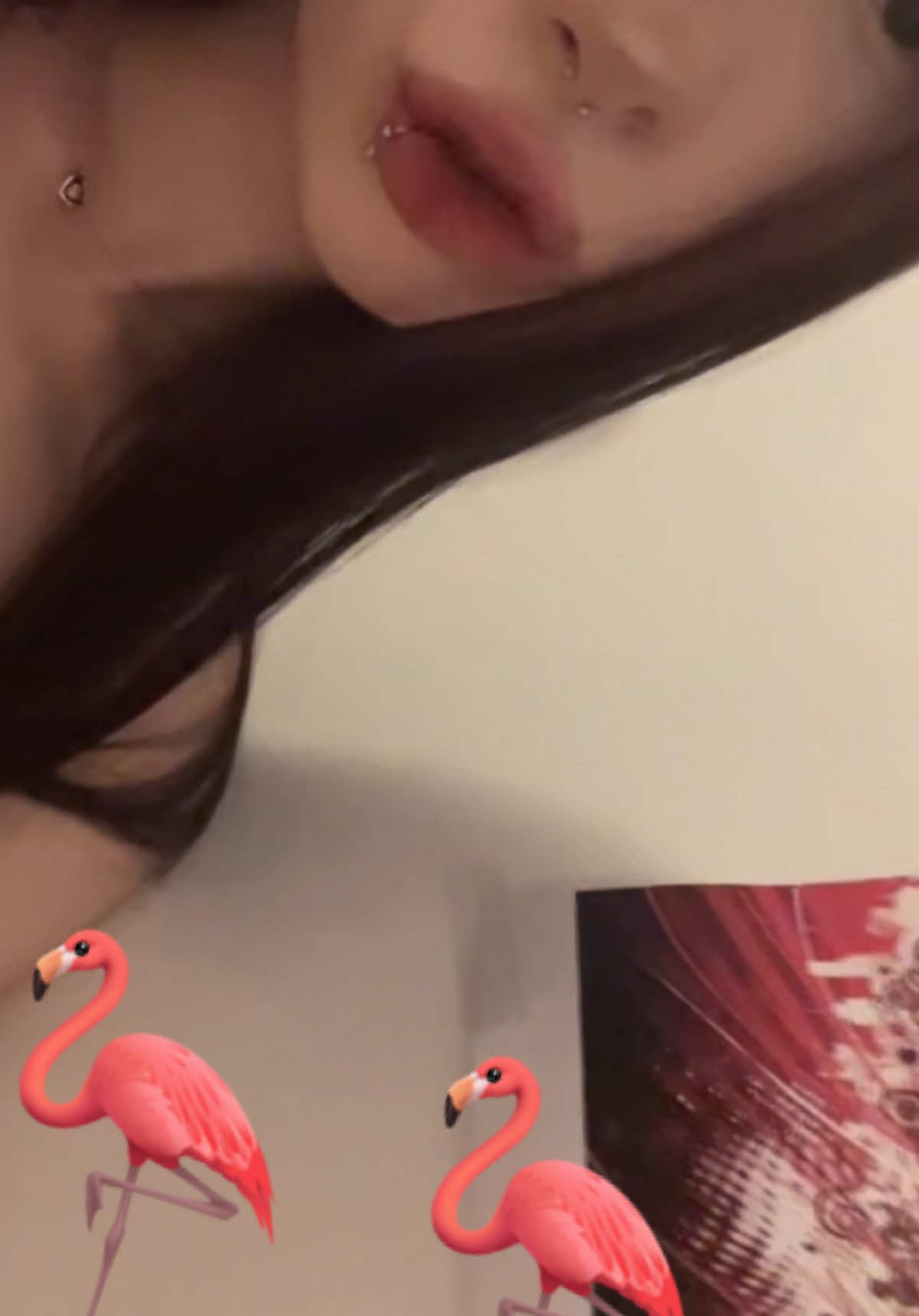 @˗ˏˋ♪𝄞 ≽^• ˕ •^≼𝄞♪♫ˎˊ˗
