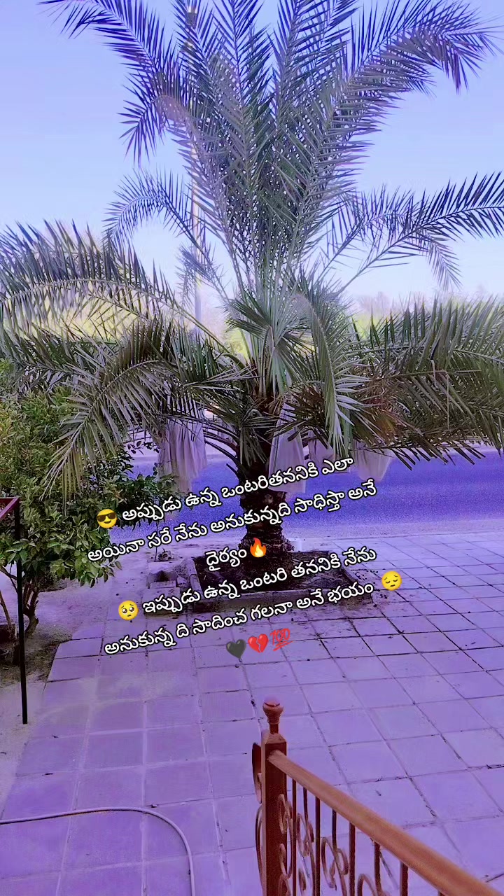 @😎యానాం🍻రాక్షసి🔥 MLA💝🌈🤗