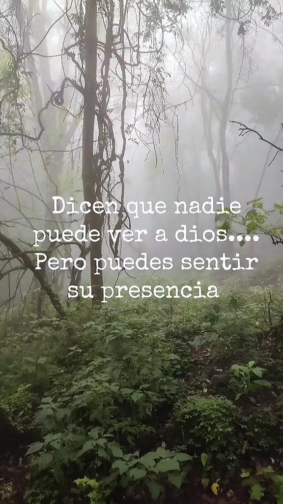 @wichouMINCRE