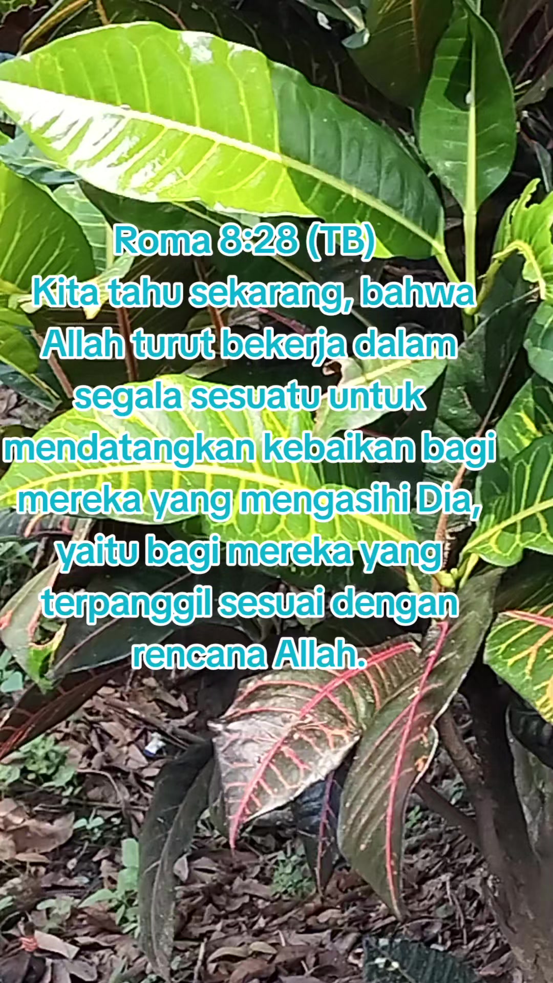 @LIDIA SETYOWATI