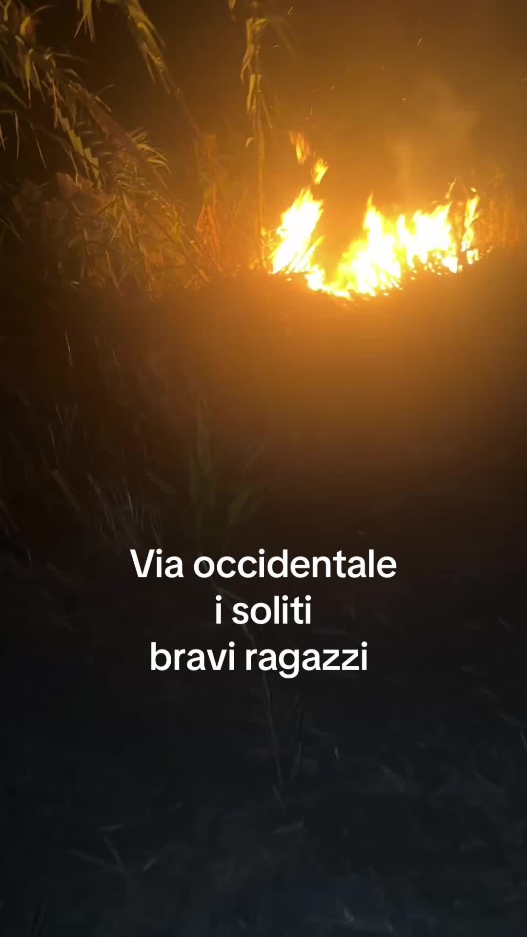 @protezionecivile2cv