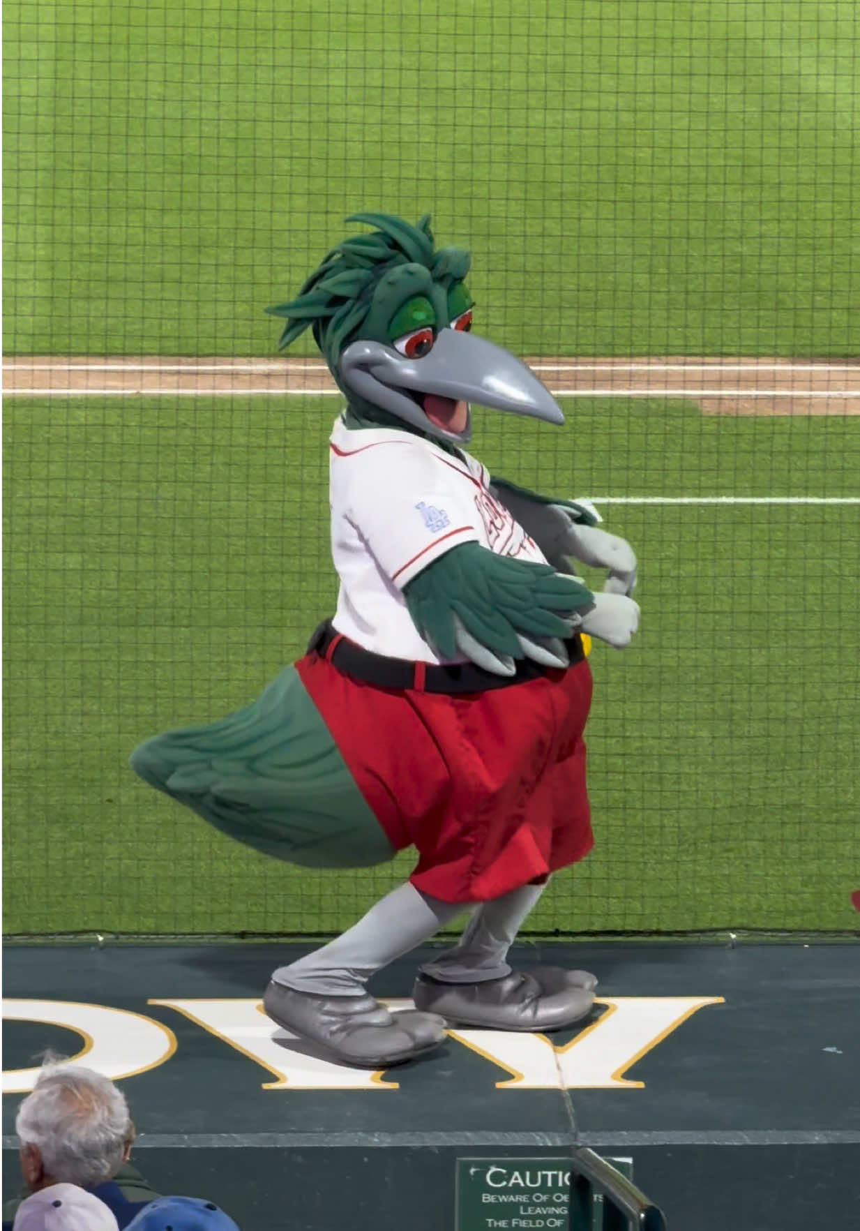 @Great Lakes Loons