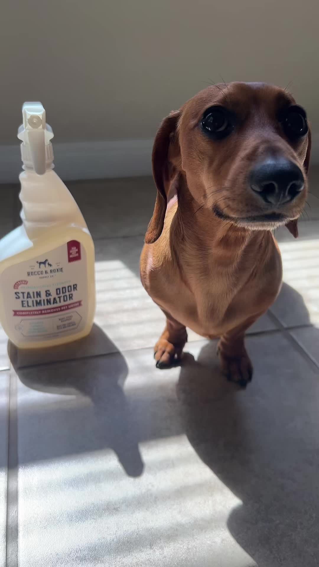 @Slinky Severus-Doo