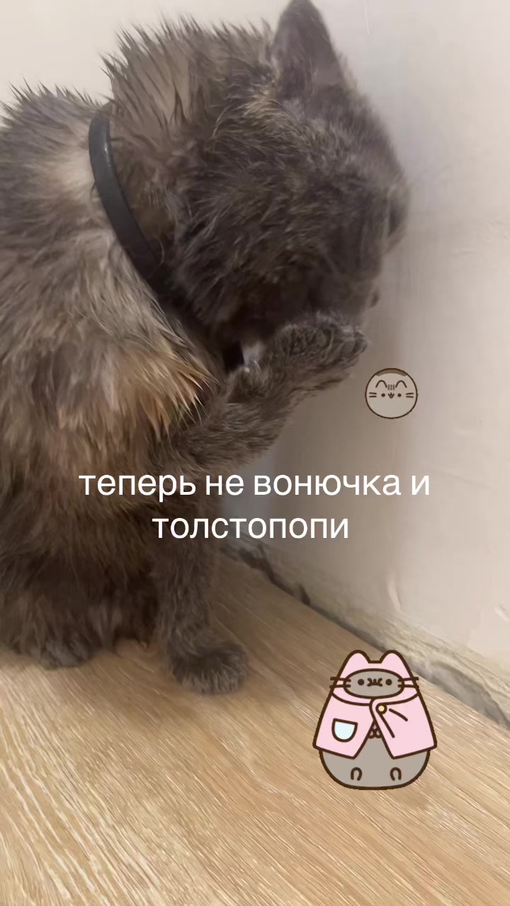 @ang3ls🪽