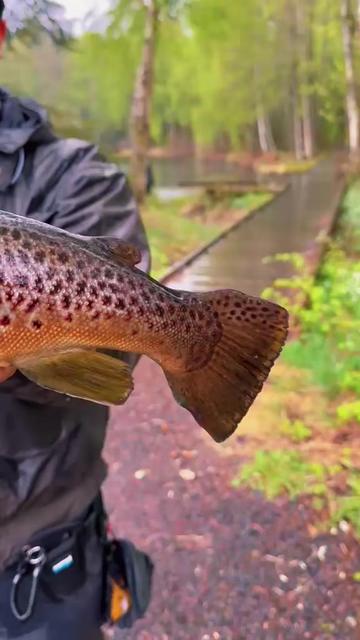 @FishingGladiator