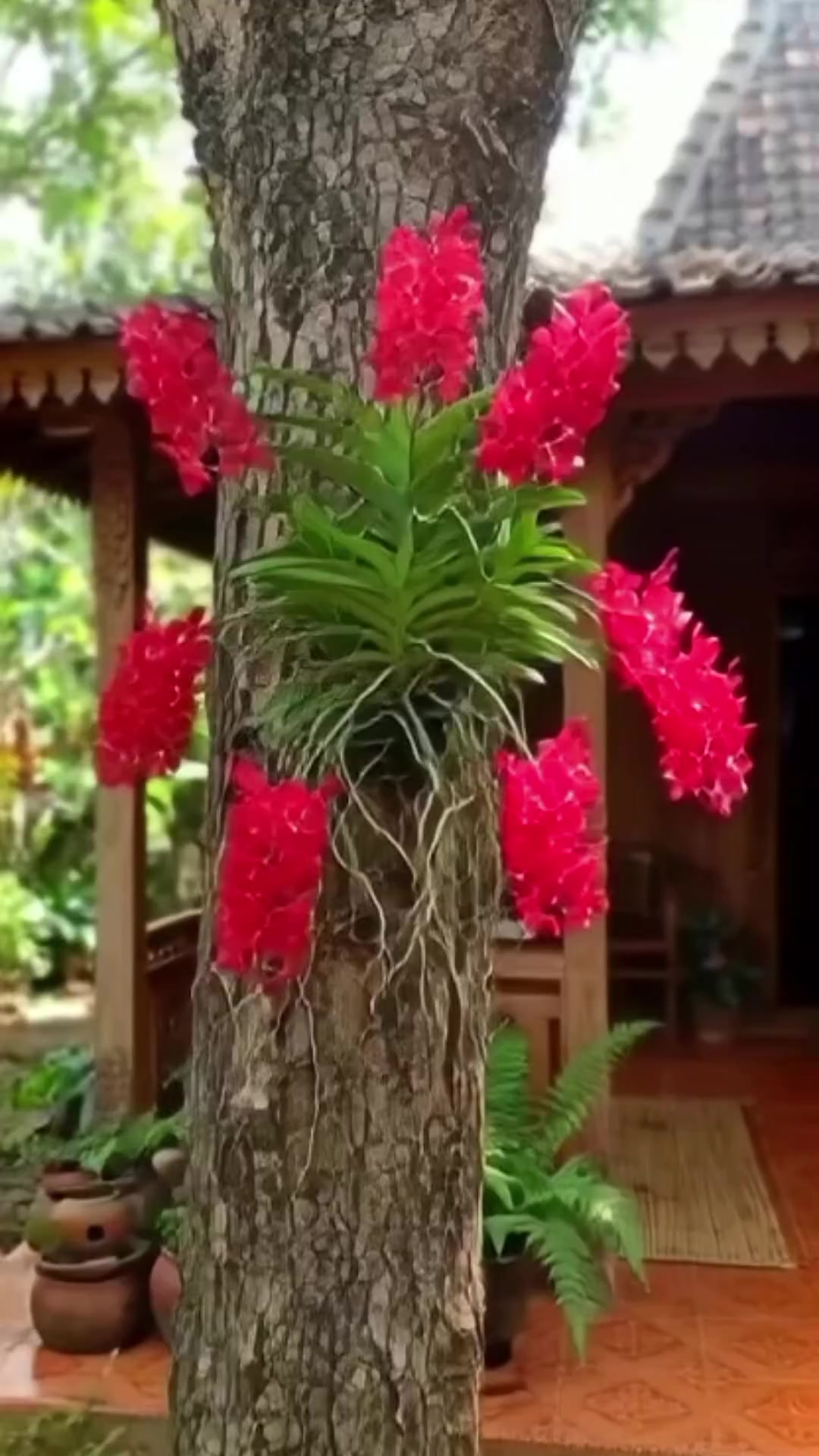 @NUNUNG INSANI