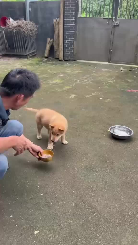 @Funny