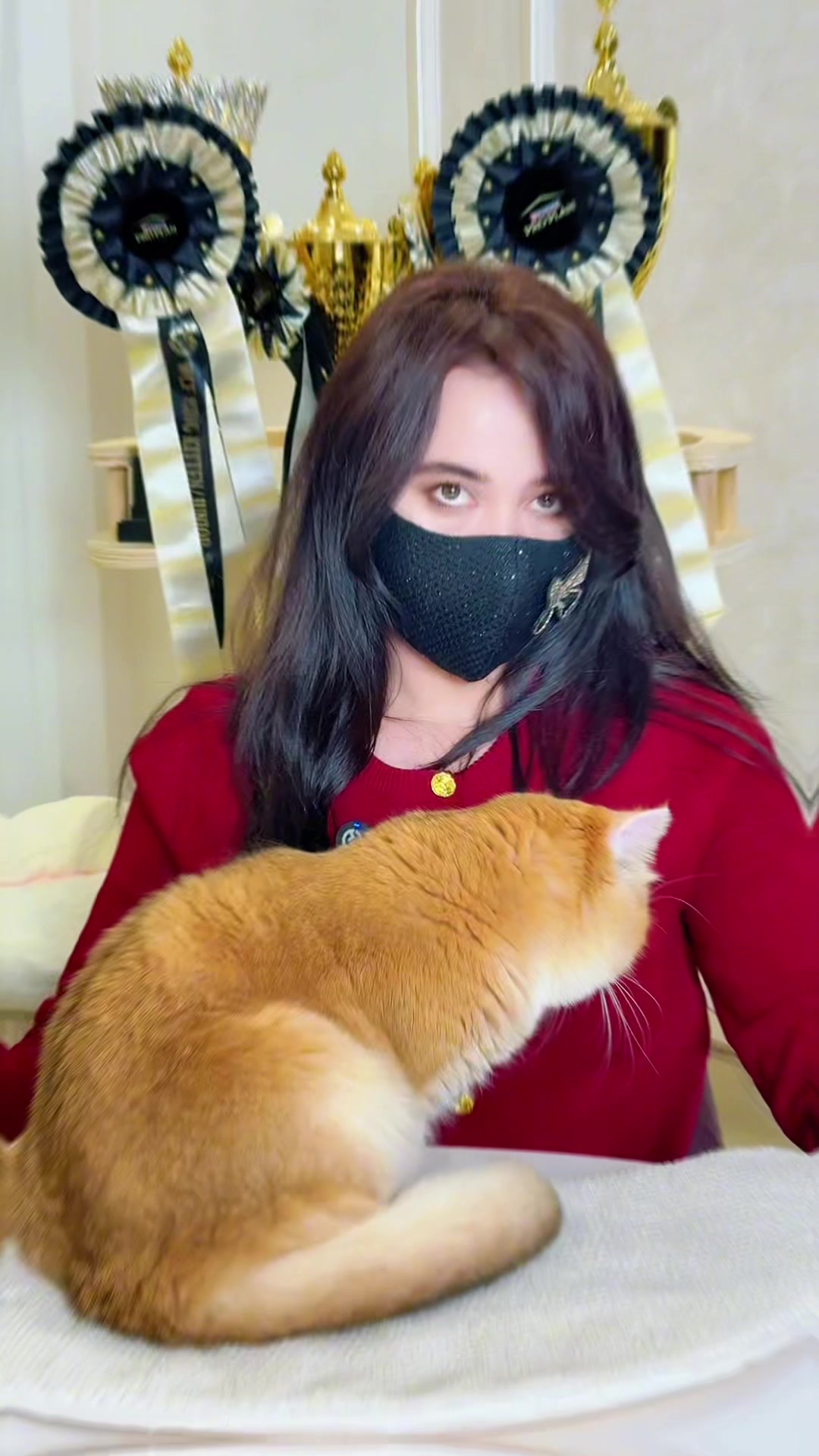 @kittens_uz