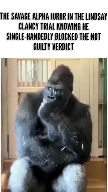 @𝐇𝐨𝐙𝐚𝐲 𝐆𝐡𝐨𝐬𝐭𝐦𝐚𝐧