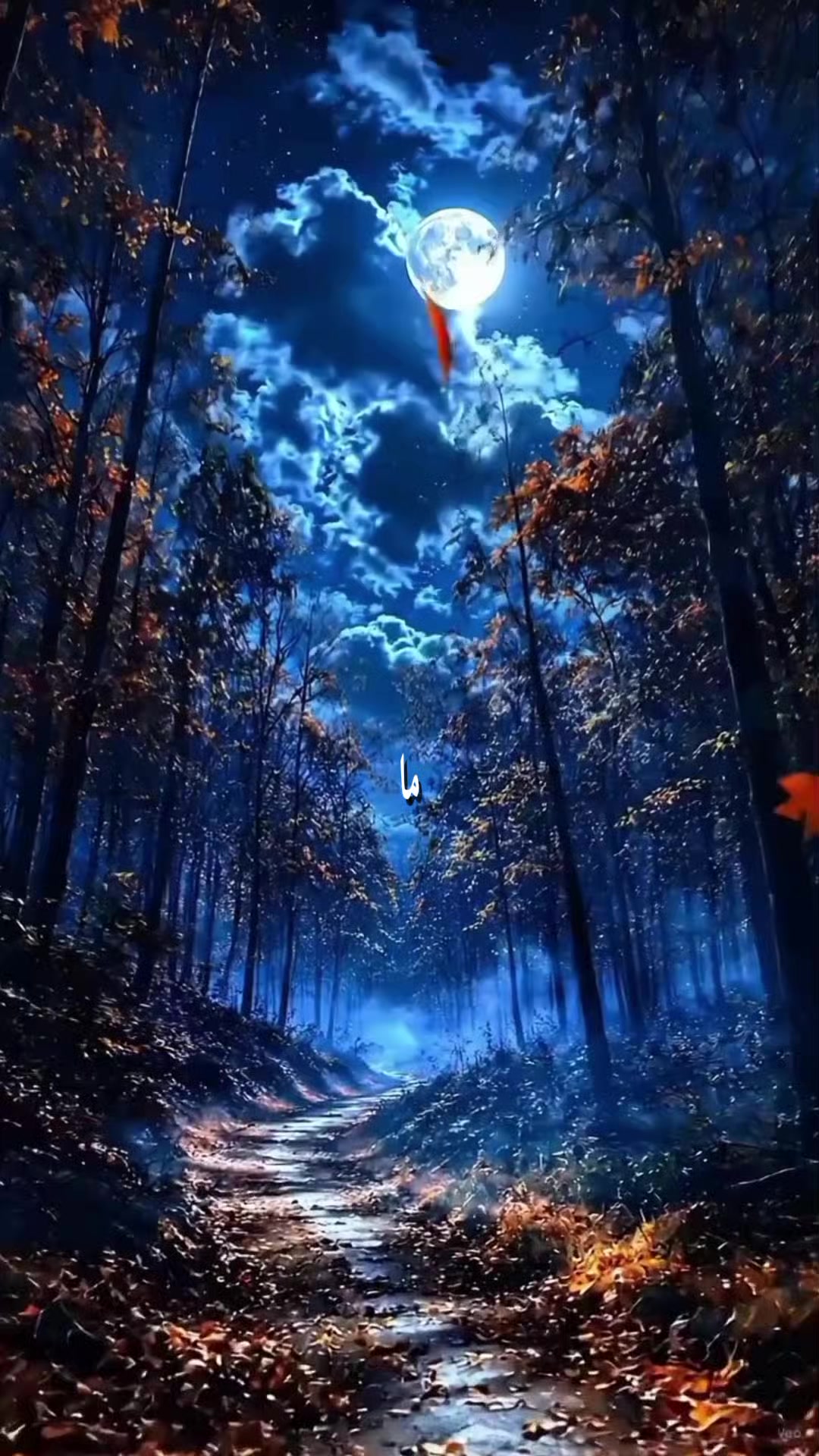 @طيــف 🐺💙