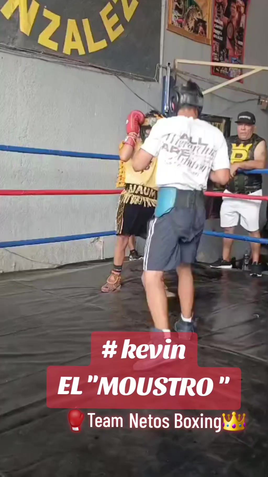 @netos boxing