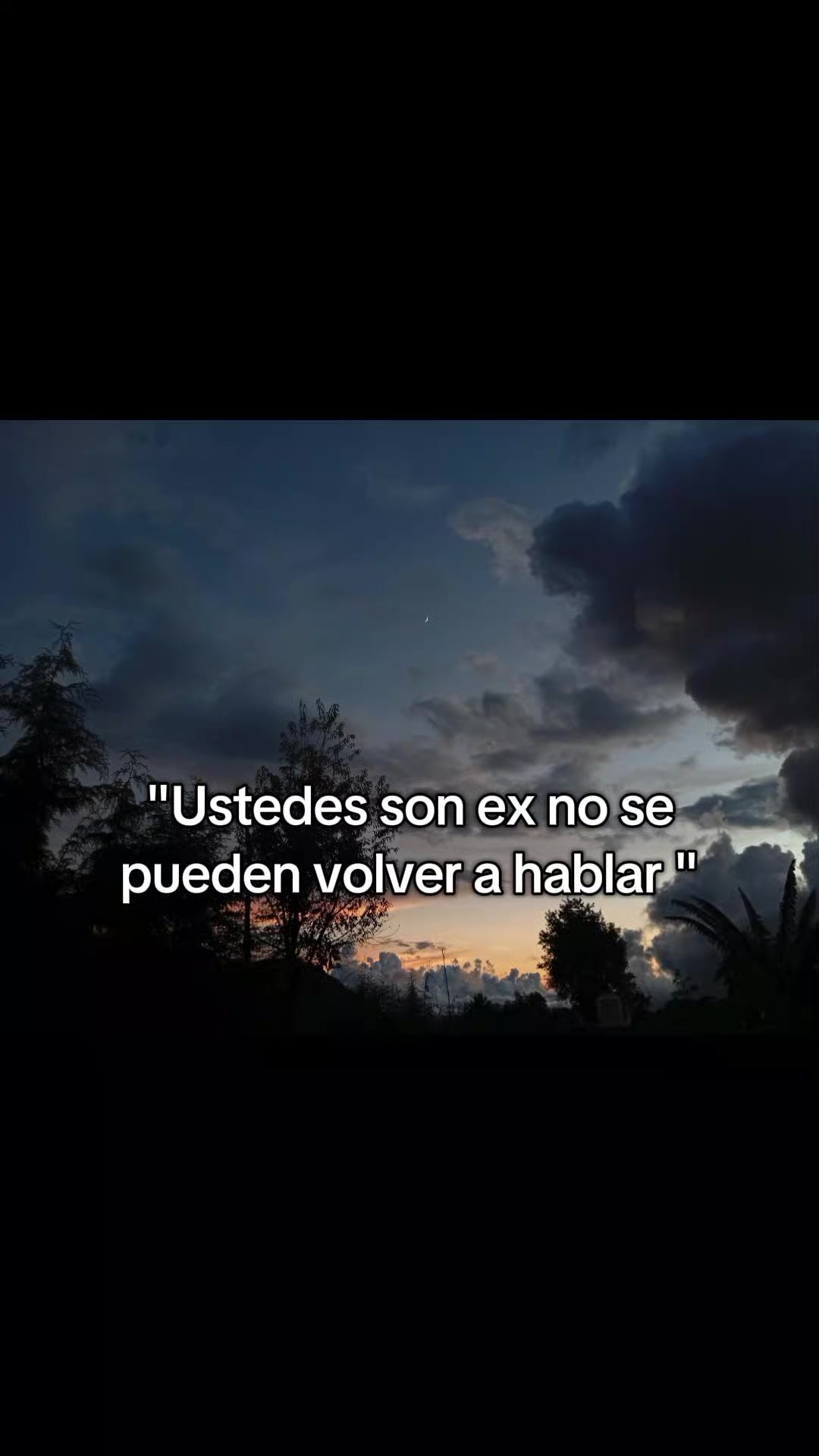 @Brenda Alonso