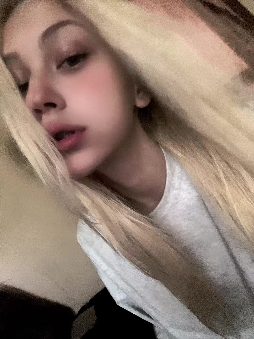 @🐾🐾🐾
