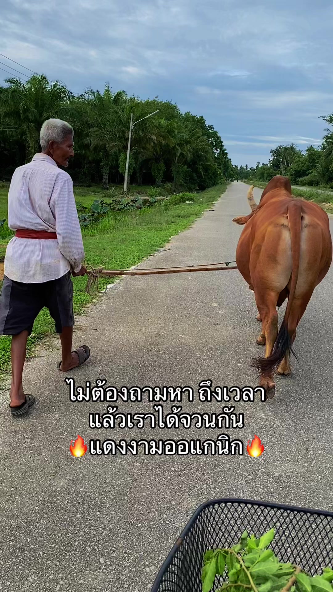 @ทำดีเข้าเเลก เพื่อกระเเทกหีเธอ