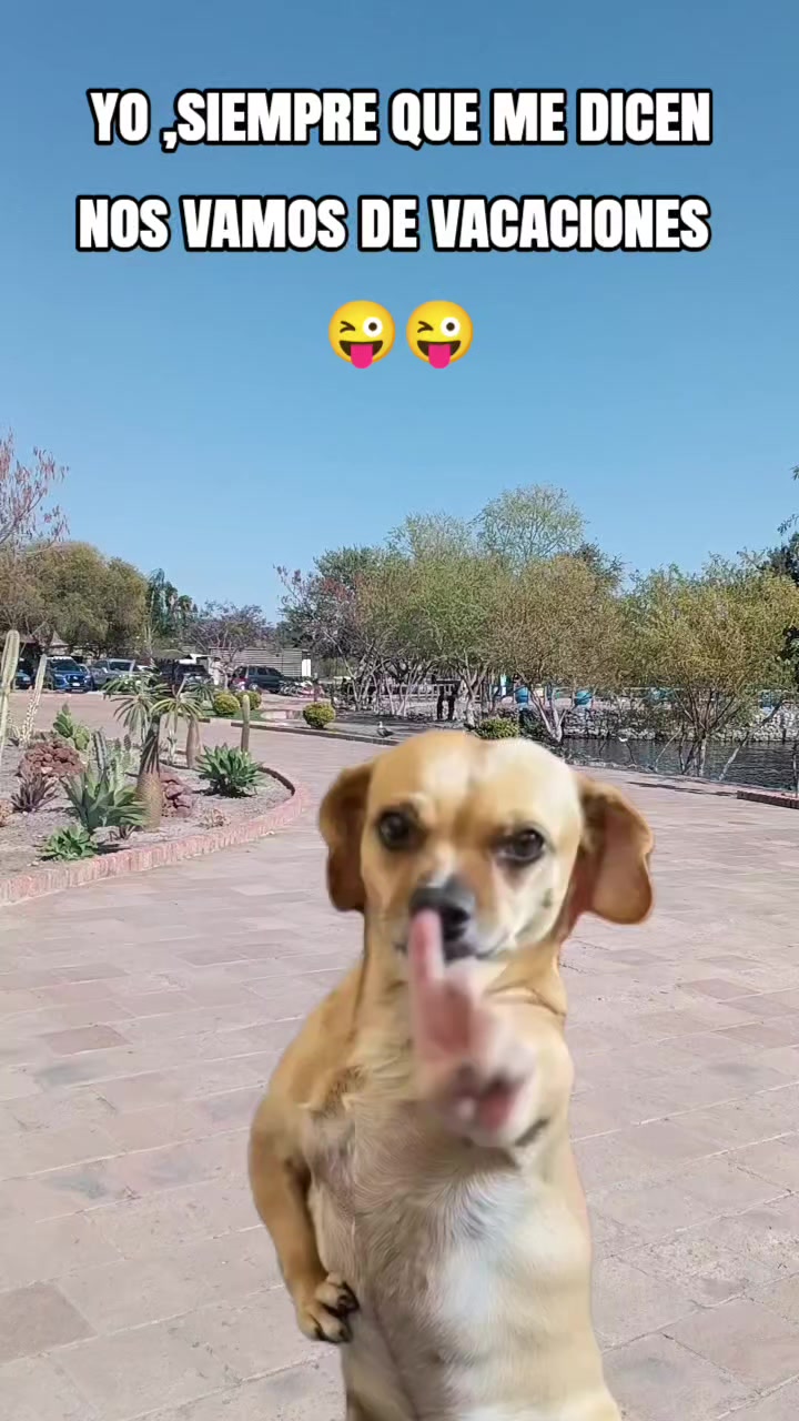 @Any ❤️