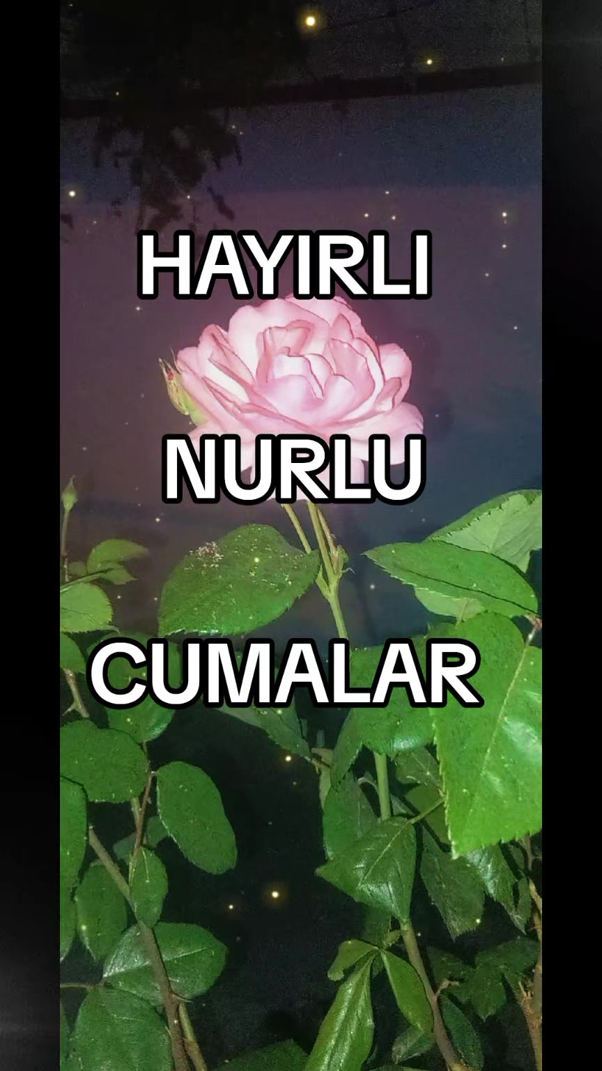 @ümüt dünyası