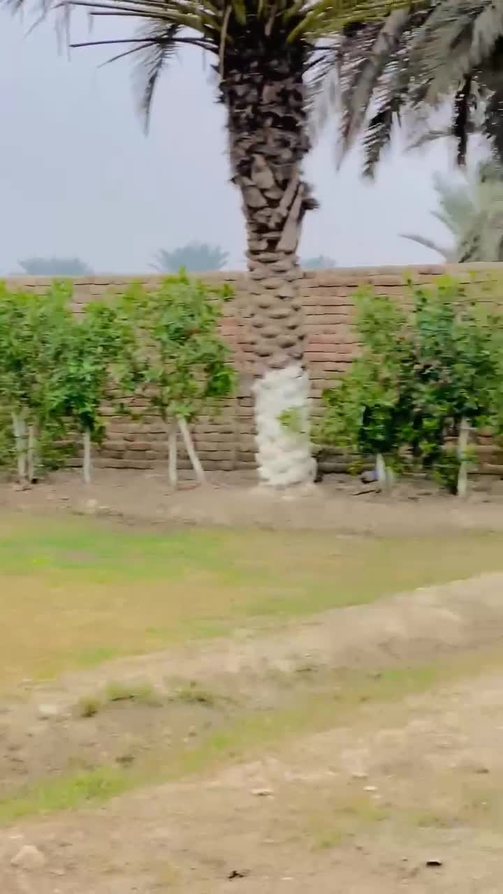 @Ghanghro ♥️