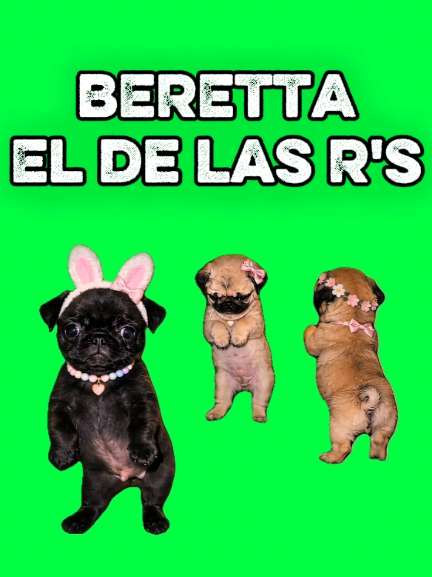 @MemeScreens