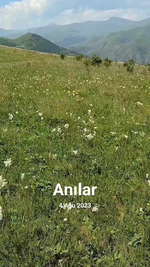 @Yaşar