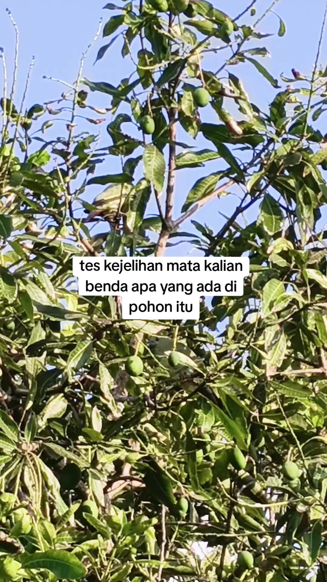 @54Nt4i_99🇮🇩🇰🇷🇨🇿