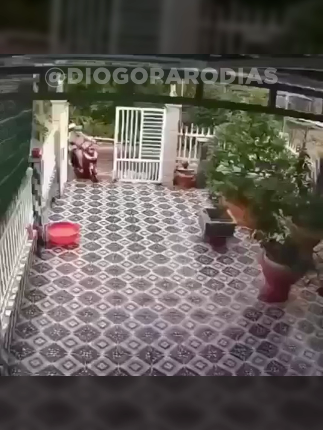 @Diogo Par&oacute;dias