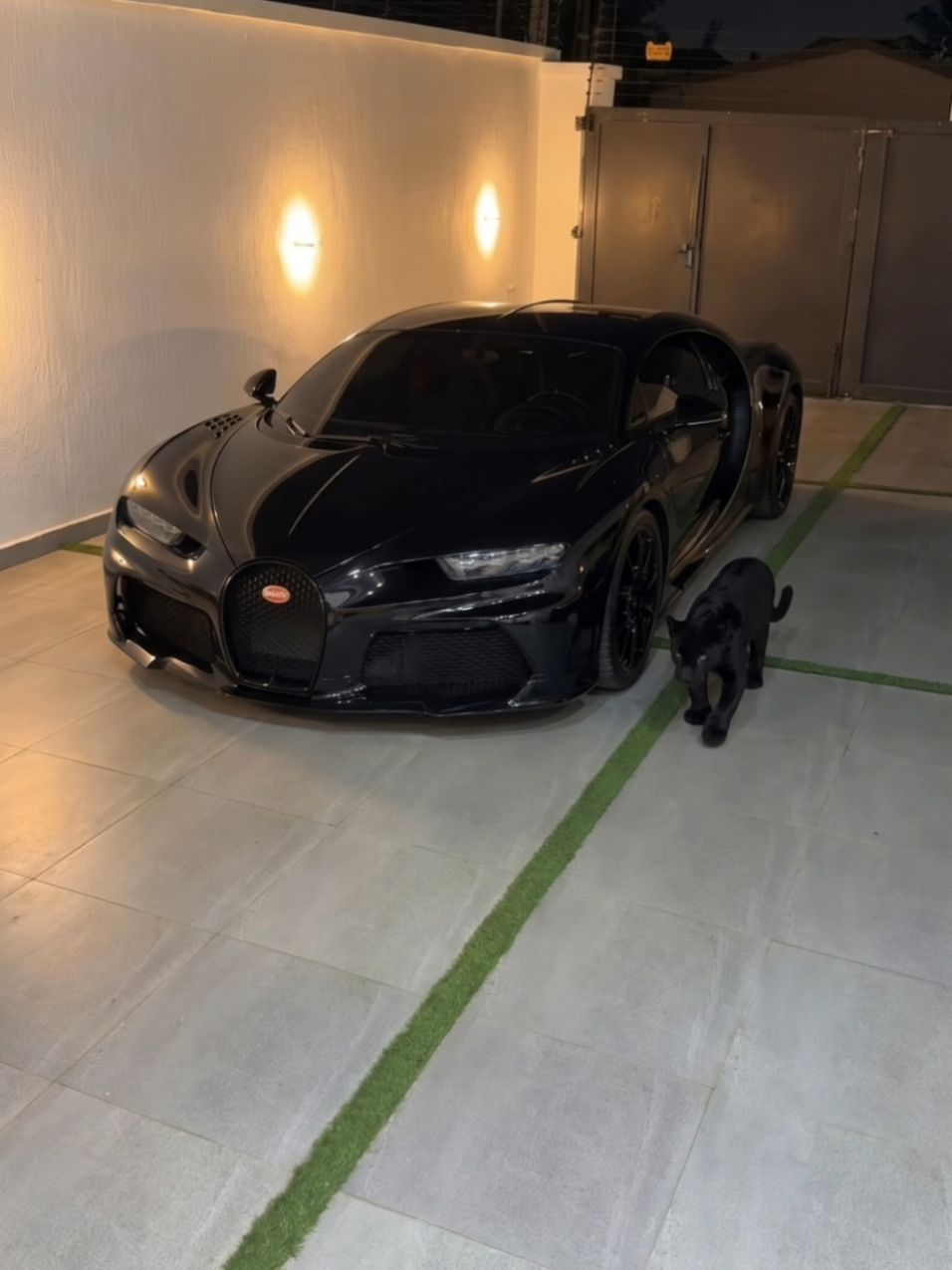 @Millionaire_Mentality_7