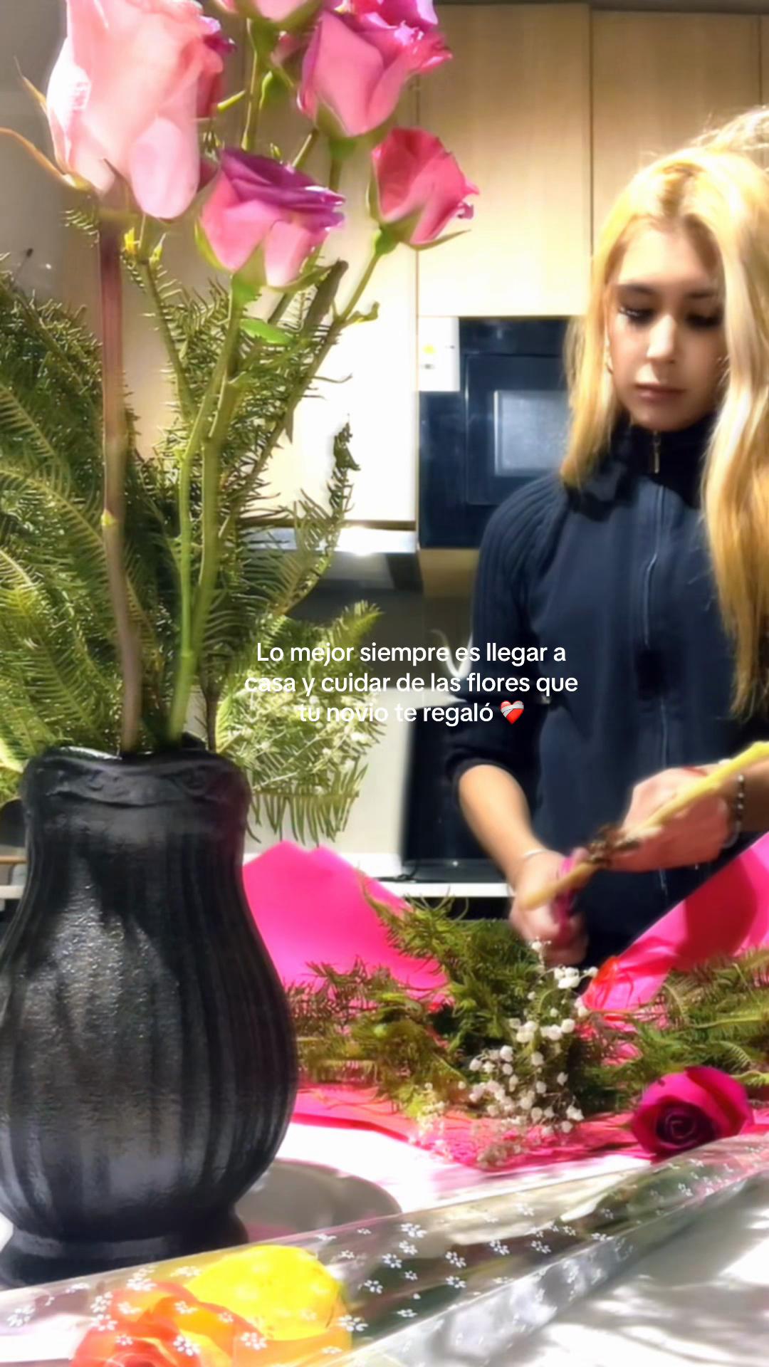 @iamrominavf